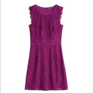 Brixon Ivy Medina Stretch Lace Dress